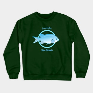 Blue Chromis Crewneck Sweatshirt